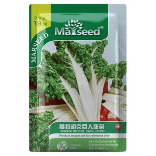 【新品推荐】进口福特胡克巨人甜菜种子四季蔬菜食用好吃高产种籽