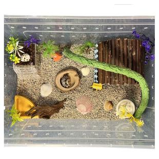 寄居蟹饲养箱盒套装恒温造景躲避水盆攀爬儿童礼物新手套餐宠物缸