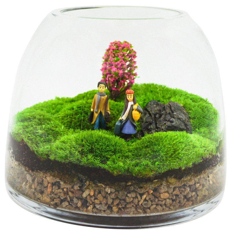 青苔苔藓植物微景观摆件植物城堡