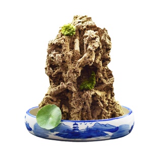 上水石原石天然吸水石盆景摆件麦管石假山原石奇石造景水秀石包邮