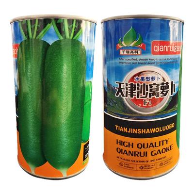 天津沙窝水果萝卜籽萝卜种子