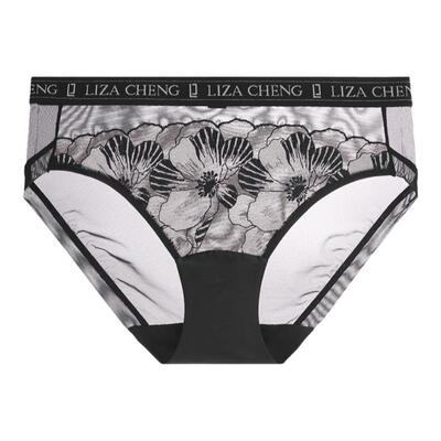 巴黎三角裤lizacheng