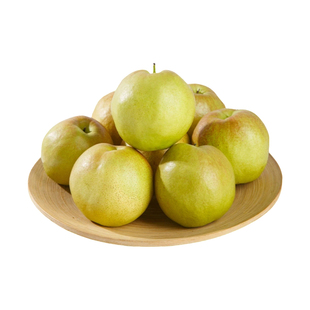 隰县玉露香梨微瑕果二级正宗山西原产地直发新鲜现摘应季水果梨子