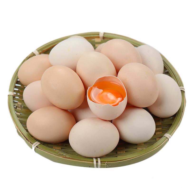 山东新鲜农村土鸡蛋40枚农家散养自养天然柴鸡蛋笨鸡蛋草鸡蛋整箱