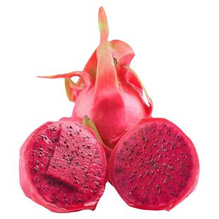 蜜玄龙火龙果苗一斤一个蜜甜多汁红肉火龙果树苗四季结果盆栽地栽