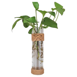 创意壁挂墙面麻绳玻璃转运竹花瓶绿萝花器现代简约家居装饰摆件