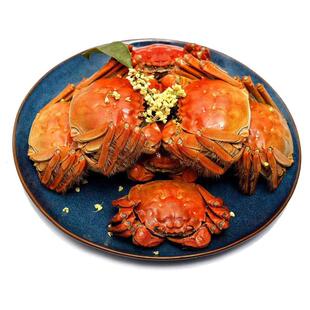 活蟹军山湖大闸蟹3.0两10只特大礼盒鲜活全母蟹现货江西螃蟹现货
