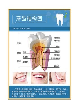 可定制牙科室装饰画海报kt板贴画