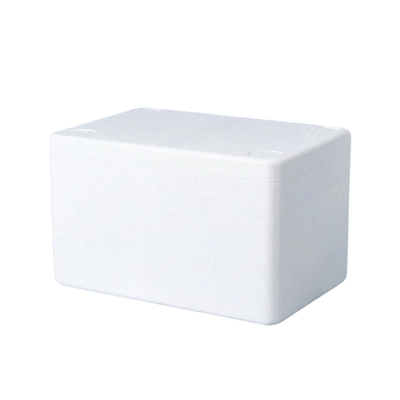 邮政快递专用保温保鲜泡沫箱