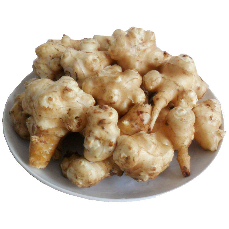 苏北现挖洋姜新鲜鬼子姜不辣菊芋