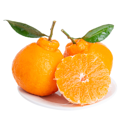 【热卖推荐】正宗四川不知火丑橘