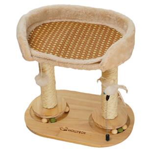 实木猫爬架小型家用猫架猫窝一体四季通用爬柱靠墙占地小不占空间