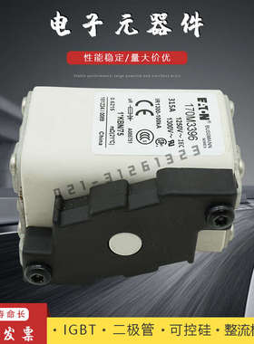 熔断器170M3467 3468 3469 3470 3471 3472 3473 3488 3489保险丝