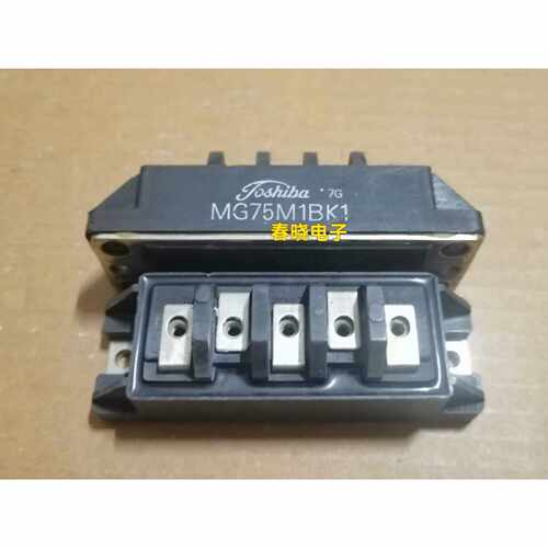 MG75M2CK1MG75M1BK1MG100H2CK1