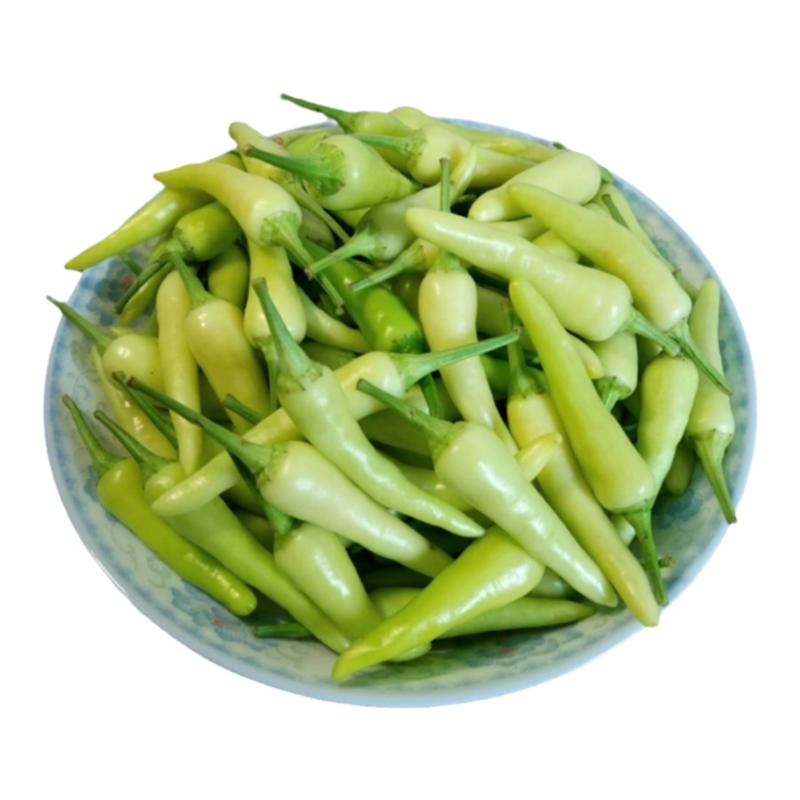 ·广西新鲜白米椒白辣椒小辣椒泡椒指天椒朝天椒酱油泡椒凤爪泡椒