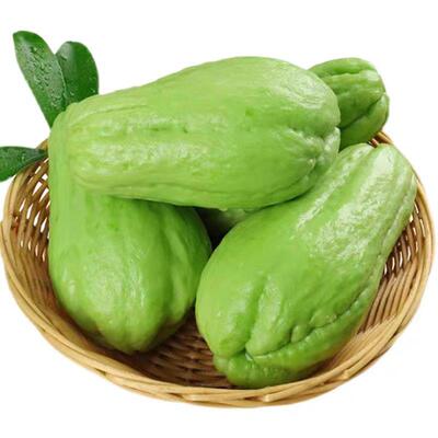 云南高山佛手瓜现摘现发