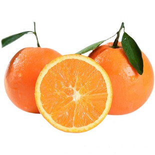 现摘伦晚脐橙秭归当季10斤整箱湖北宜昌橙子新鲜水果香甜大果春橙