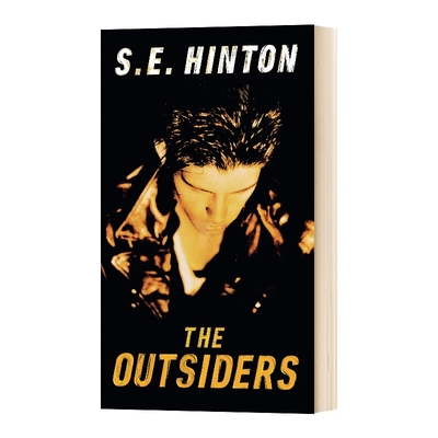追逐金色的少年 英文原版 The Outsiders 局外人 S. E. Hinton 英文版 进口英语原版书籍