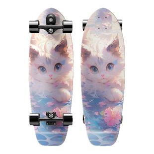 弘鹰陆地冲浪板滑板儿童初学者6到12岁成人女生专业弹簧桥免蹬地