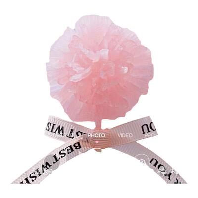 礼盒康乃馨花束棒棒糖