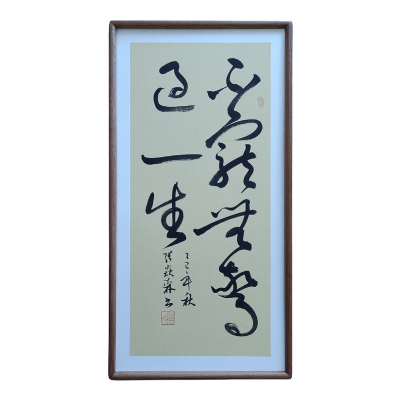 手写书法不宠无惊过一生侘寂风客厅玄关禅意字画茶室书房中式挂画