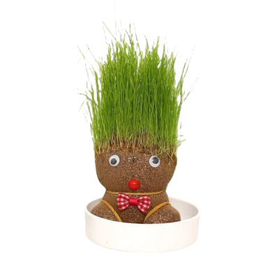 【5.8一套】开花长草娃娃3天发芽