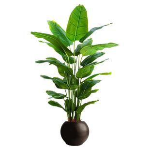 法式中古风高级感仿真绿植天堂鸟假植物旅人蕉客厅室内装饰摆件