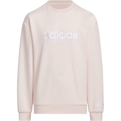 阿迪达斯儿童运动时尚套头卫衣