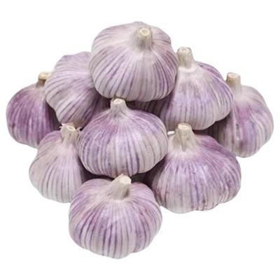 【天天特价】山东干蒜紫皮大蒜