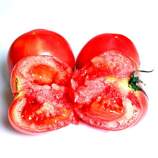 老品种沙瓤西红柿种籽毛粉水果柿子春季早熟高产盆栽大粉番茄种子