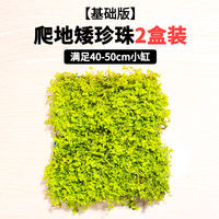 Fish tank landscaping, water plants, foreground, creeping ground, low pearl lawn, mini cowhide ground, Japanese pearl grass, beginner plants thumbnail 4