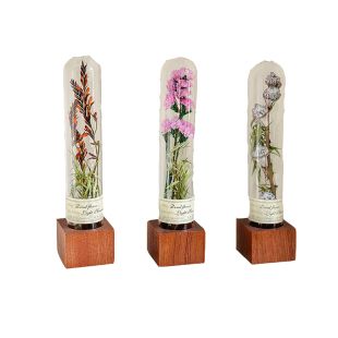 复古玻璃罩植物标本玻璃试管干花永生花毕业生日圣诞情人节礼物