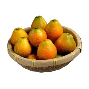 正宗广西融安第三代脆蜜金柑独立包装柳州脆蜜特大果果王多规格