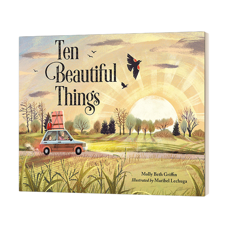 英文原版 Ten Beautiful Things 十个美丽的东西 儿童精装绘本 英文版 进口英语原版书籍