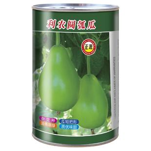 和利农 正源利农圆瓠瓜种籽圆瓠瓜种子大田菜葫芦四季小瓠子种孑