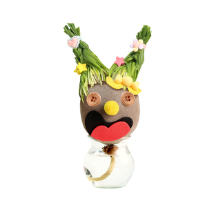 草头娃娃头上长草娃娃办公室创意植物儿童幼儿园种植盆栽植物观察