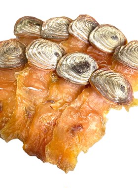 带盖响螺片爵士汤主料鲜甜味香