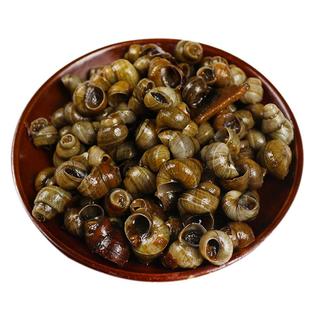 微山湖田螺鲜活螺蛳活体无沙泥螺去尾石螺清水剪尾田螺商用批发