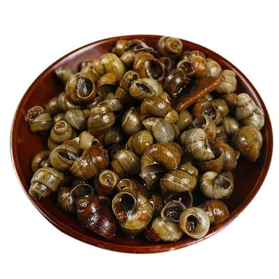 【新鲜包活】田螺鲜活无沙清水