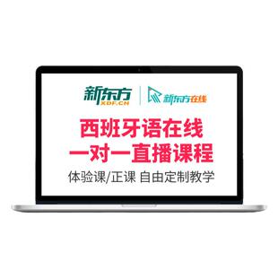 新东方西班牙语一对一直播课程1对1辅导口语备考DELF考试留学面签