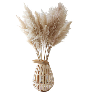 WULIHOME芦苇干花大灯笼竹编花器皮扣花瓶桌面摆件店铺陈列软装