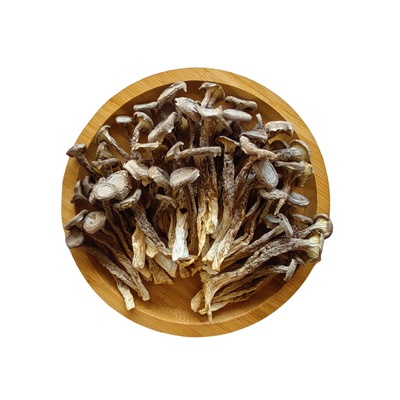 东北长白山特产鹿茸菇500g非野生菌类新鲜干货蘑菇无添加营养煲汤