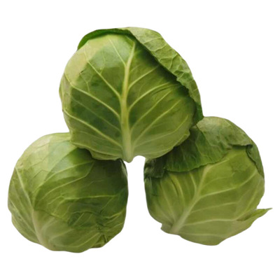 新甘蓝种农家自种甘蓝菜包心菜包心菜寿光新鲜蔬菜挑夫生鲜当季