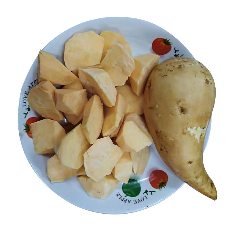 六鳌红薯赣南寻乌新鲜红薯