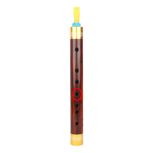 新艺大红酸枝飘红老红木管子乐器催泪管初学者成人专业演奏管乐