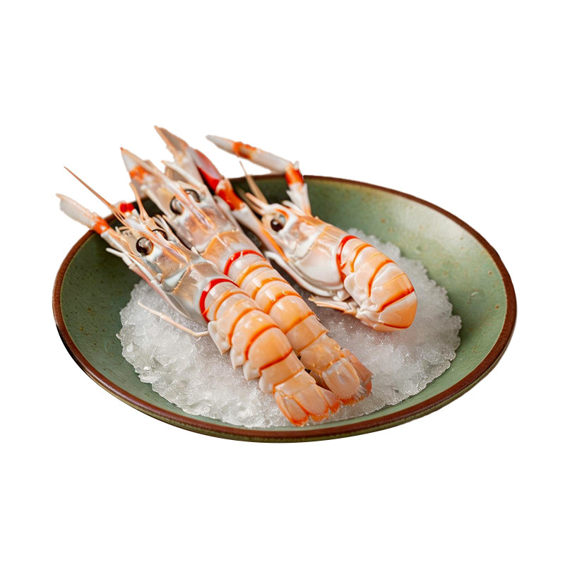新西兰鳌虾南极深海虾刺身原料