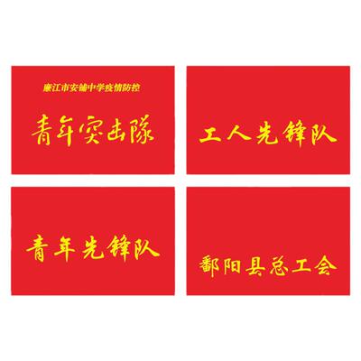 党员突击队旗党员先锋队旗帜青年突击队党支部旗帜定做党员先锋岗青年文明号旗志愿者授旗工人主题党日活动