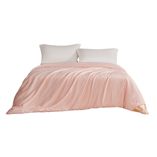 邵氏 镇店之宝春蚕茧蚕丝被100桑蚕丝冬被二合一被子被芯子母被