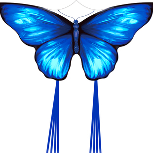 新款网红卡通蝴蝶风筝极光闪蝶专业级微风易飞大人专用儿童手持