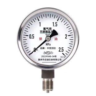 YTFO100BF氢气专用压力表304不锈钢禁油1.6级 6/40/16/25/60MPa